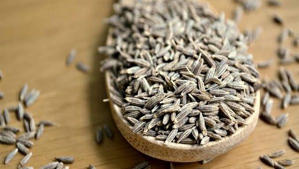 Cumin Seed